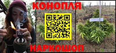 гашиш Кингисепп