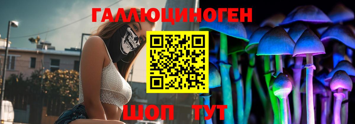 Псилоцибиновые грибы MAGIC MUSHROOMS  Вход с VPN  где можно купить   Камышлов 