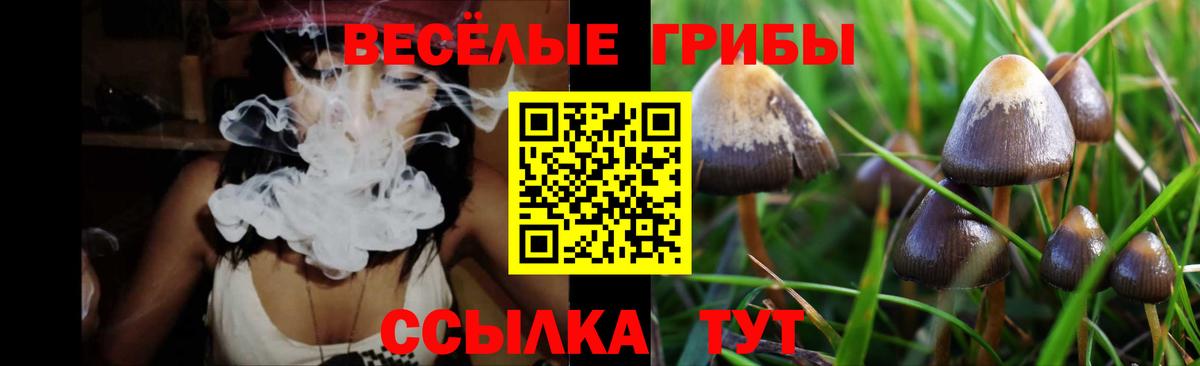 Галлюциногенные грибы мухоморы Камышлов